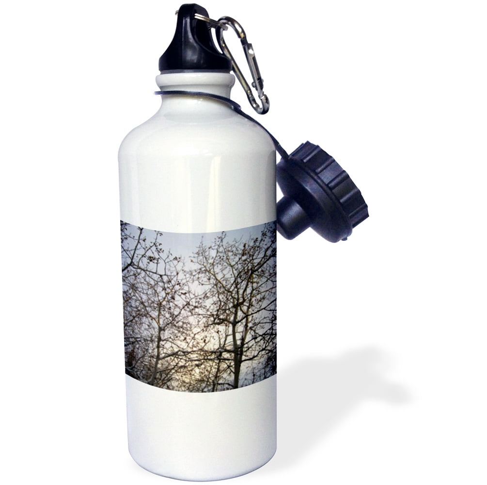 3dRose Branches Silhouetted Against a Gunmetal Winter Sky, Sports Water Bottle, 21oz by Supplier Generic