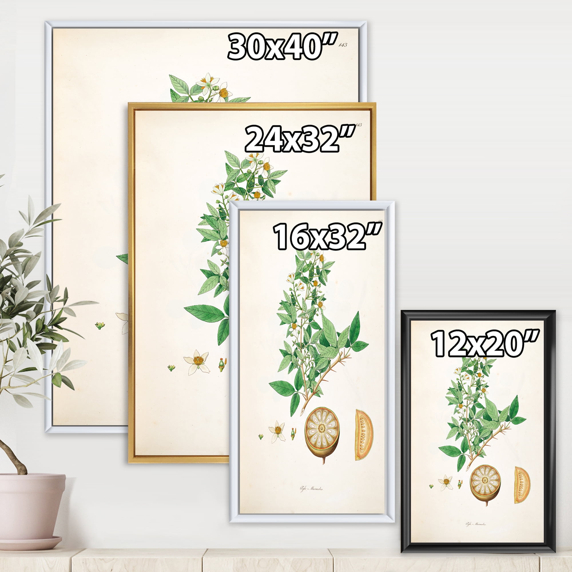 Designart 'Ancient Plant Life X' Farmhouse Framed Canvas Wall Art Print