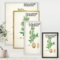 thumbnail image 4 of Designart 'Ancient Plant Life X' Farmhouse Framed Canvas Wall Art Print, 4 of 5