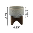 thumbnail image 5 of Flora Bunda 4 Inch Constellation Ceramic Pot on Wood Stand Mid Century,Ivory 4", 5 of 5