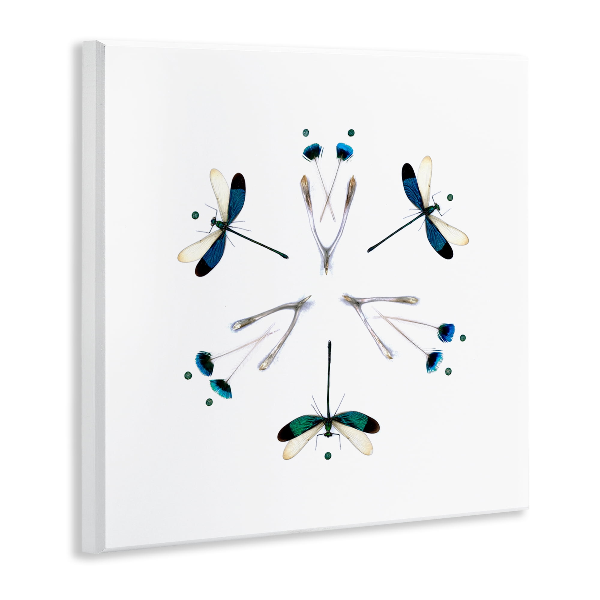 Stupell Industries Simple Dragonfly Symmetry Wall Plaque Art, design by Beth Adoette