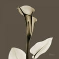 thumbnail image 3 of Koetsier, Albert 15x15 Black Modern Framed Museum Art Print Titled - Slate Calla, 3 of 5