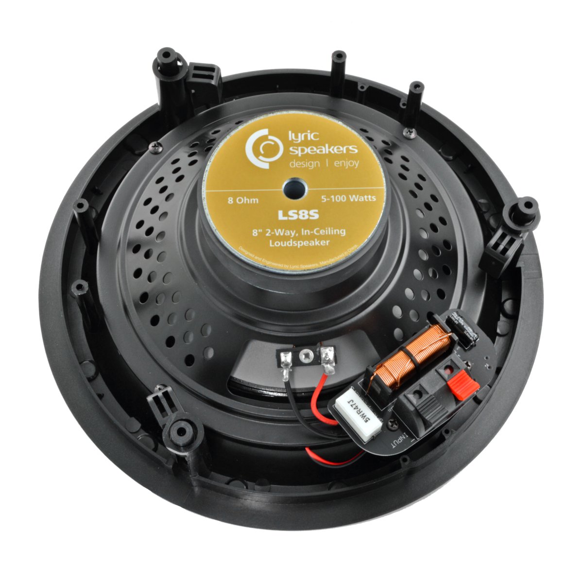 100w 80hm 25cm subwoofer speaker