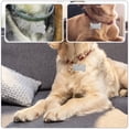 thumbnail image 2 of GOOHOCHY 6 etiquetas de identificación para perros, gatos y cachorros, accesorios para collares de mascotas, 2 of 8