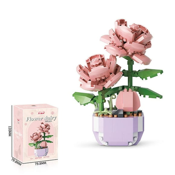 Succulent Building Set, Succulent Bonsai Botanical Decor Collection Building Kit, Build a Succulents Plants Display Piece for Home or Office, Ideal Gi
