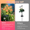 thumbnail image 6 of Oziral Solar Flowers Lights Outdoor, 2 pack Waterproof Garden Light LED Roses Solar Stakes, Patio Lawn Grave Backyard Pathway Yard Decor, 8 Modes, 6 of 9