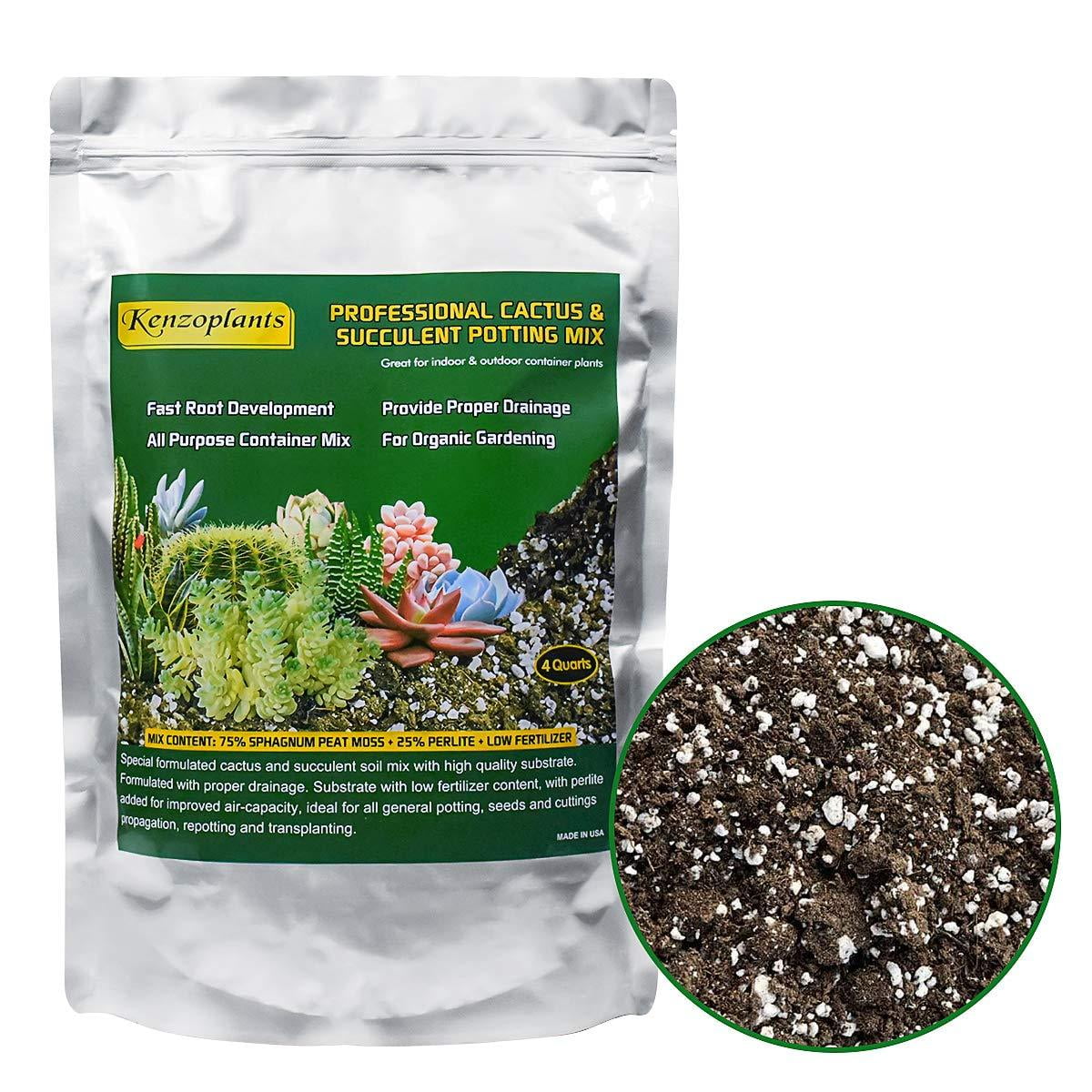 Succulents &amp; Cactus Soil Mix, Professional Potting Soil