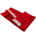 thumbnail image 3 of Arsenal - Core Crest Flag (3 x 5'), 3 of 4