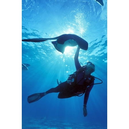 Snorkeling Stingray City Grand Cayman Caribbean Poster Print by Greg
