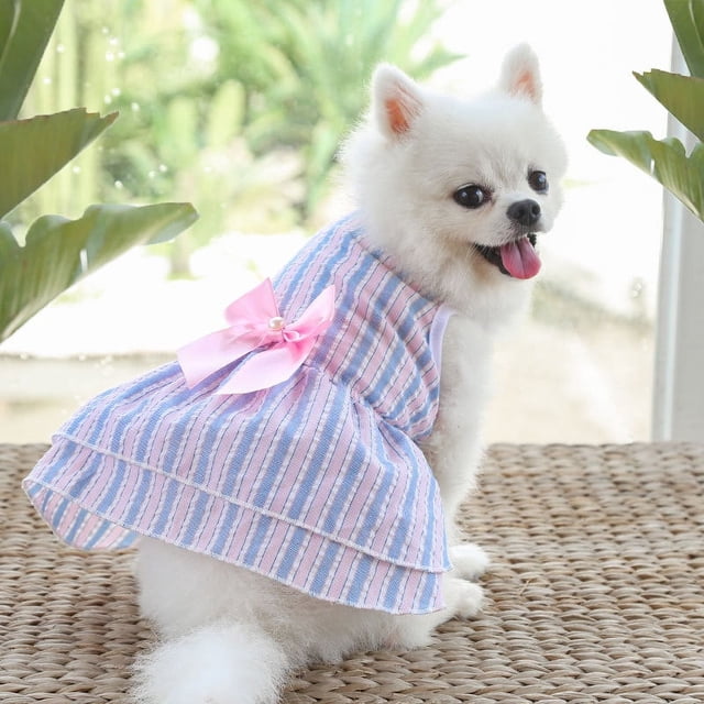 Dégagement Chien Jupe Arc Robe de Mariée Robe Printemps Automne Nouveau Plaid Chat Vêtements Rayé Bomei