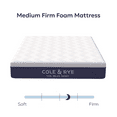 thumbnail image 3 of Cole & Rye Articsky 10" Cooling, Gel Memory Foam Mattress, Adult, Twin XL, 3 of 6