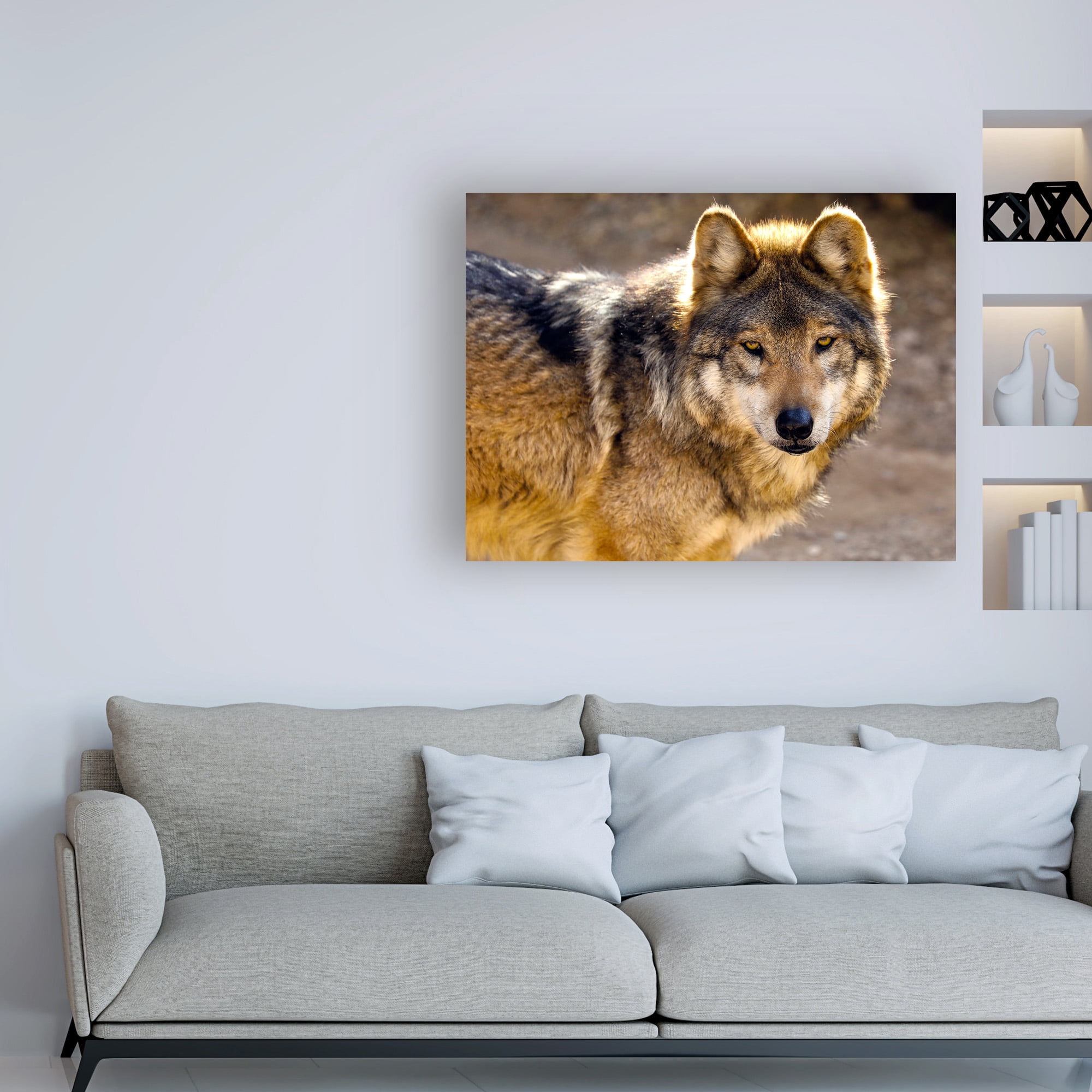 Trademark Fine Art 'Lobo Wolf' Canvas Art by Mitch Catanzaro