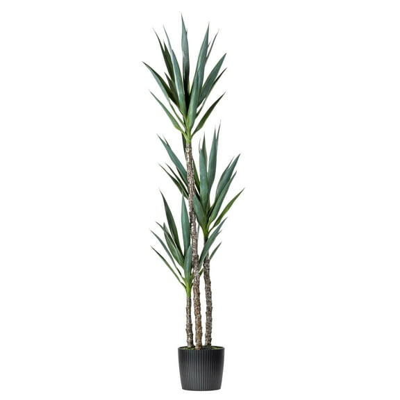 Vickerman 60" Artificial Green Yucca Tree in 8" Black Planters Pot.