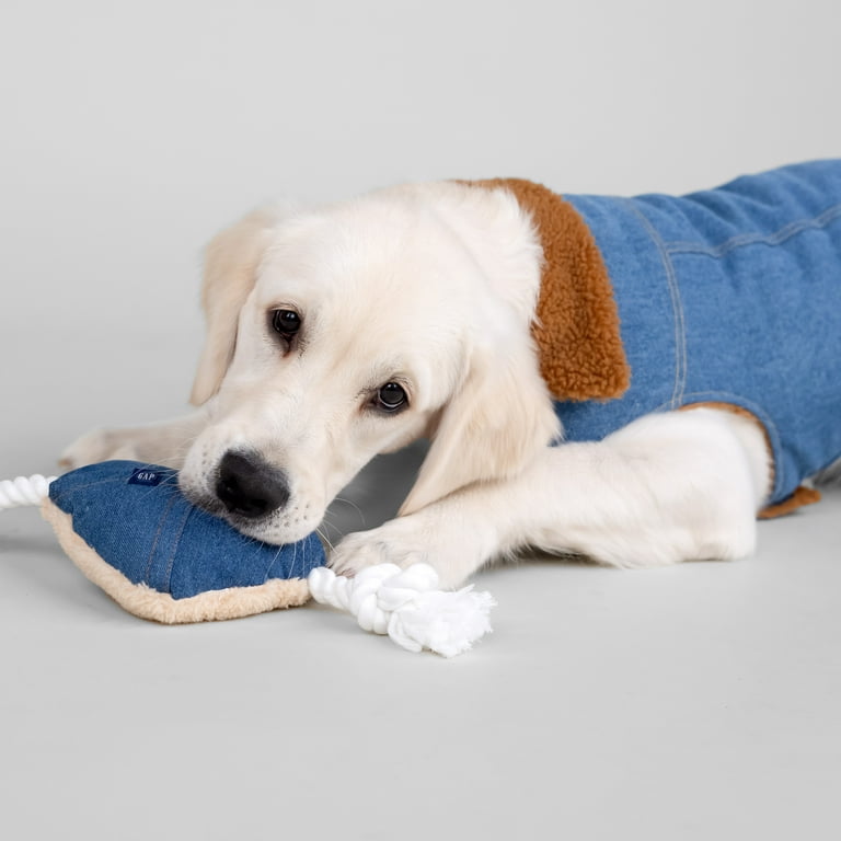 Gap Pet, Dog Clothes, Blue Denim Pet Jacket