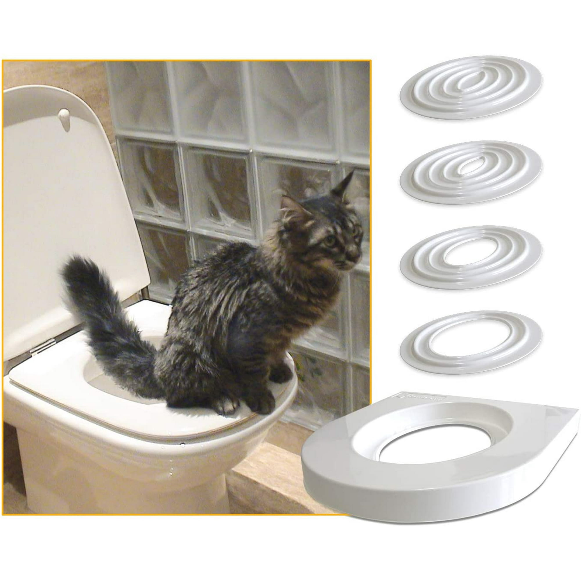 Litter box training online