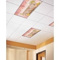 thumbnail image 2 of Fluorescent Light Covers for Ceiling Lights 4 Pack, Red Thanksgiving Fall Magnetic Ceiling Light Covers 2x4ft for Classroom Office School, Maple Leaf Watercolor Pumpkins Drop Ceiling Light Shade, 2 of 7