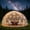 9.8 x 6FT, variant on ICEELF Garden Dome Tent, Outdoor Bubble Tent TPU Greenhouse for 2-8 Persons, 360° Clear View Geodesic Igloo Dome with 2 Ventilated Windows, Backyard Camping Party Shelter, 12 x 7.2 FT