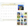 AT-A-GLANCE Kittens Monthly Desk Pad - Calendars