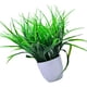 thumbnail image 4 of Planta artificial, mesa de interior, maceta falsa para decoración del hogar, planta en maceta de simulación, grande Advancent HA8799-01B, 4 of 6