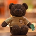 thumbnail image 1 of Osito de peluche que graba, muñeco parlante, muñeco de tela, lindo oso de abrazo, muñeco para niñas, 1 of 6