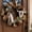 #03, variant on Handmade Southwestern Spirit Wreath,Western Rustic Desert Home Decor with Turquoise Feathers and Steer Skull,Boho Southwest Style Wall Hanging for Front Door Porch Patio(#01)