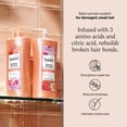 thumbnail image 4 of Suave Bonding Infusion Repairing Conditioner, with Bonding Complex, for Damaged Hair, 28 oz Pump, 4 of 9