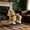 Light Brown+Metal+Plush, variant on HMYG Large Walking Horse Toy