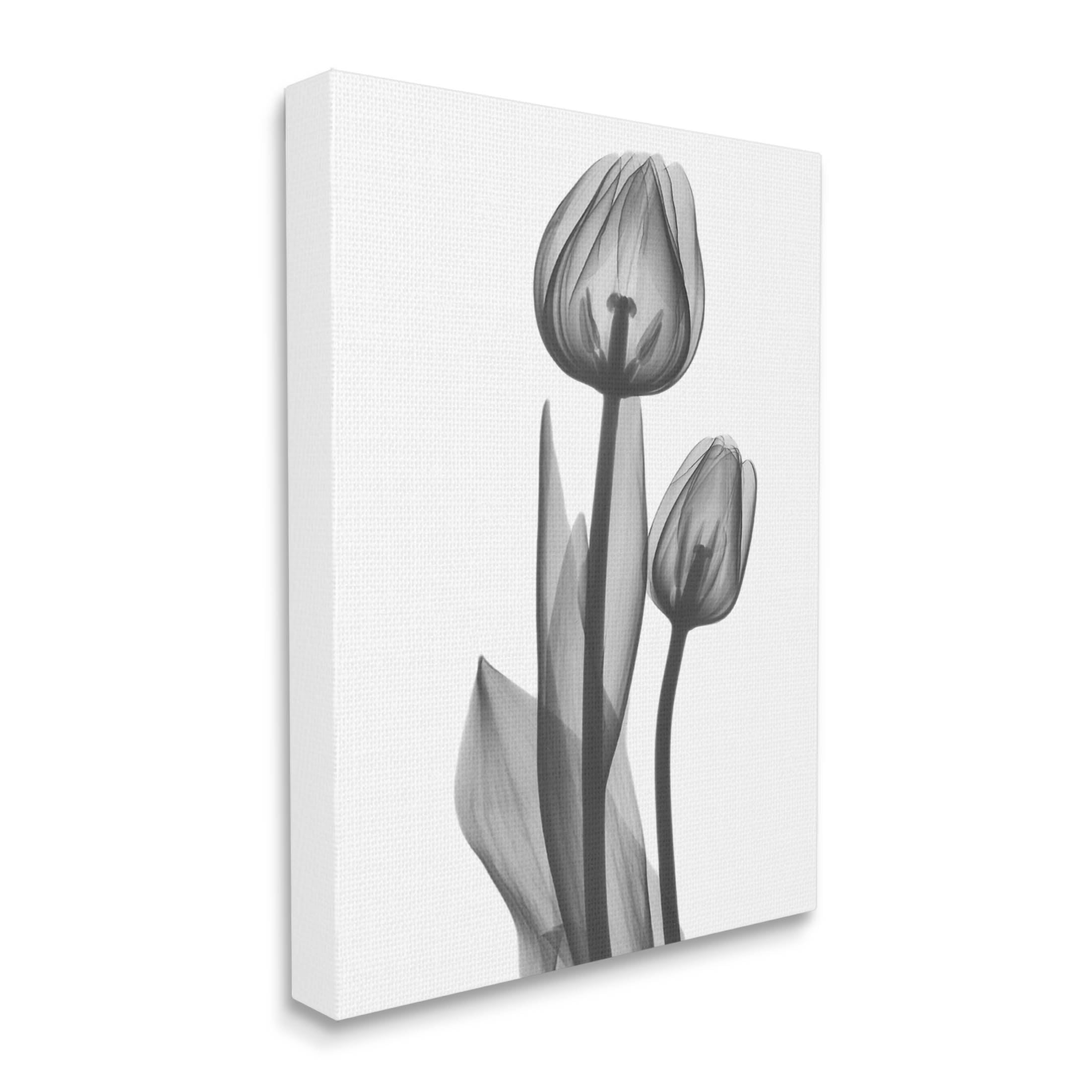 Stupell Industries Contemporary Transparent Tulip Graphic Art Gallery Wrapped Canvas Print Wall Art, Design by Albert Koetsier