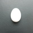 thumbnail image 4 of 50Pcs Plastic Pigeon Eggs Artificial False Pigeon Eggs    Note:, 4 of 4