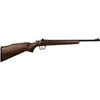 DO NOT PUBLISH Crickett 300 Crickett Bolt .22 Long Rifle 16.12" American Walnut, Blue