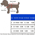 thumbnail image 2 of Pet Halloween Witch Costume Cape Hat Set for Dogs Cats, Spooky Wizard Vampire Cloak, Cosplay Party Apparel Clothes Outfit(RL), 2 of 6