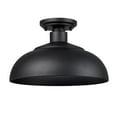 thumbnail image 1 of Levitt 1-Light Outdoor Semi-flush in Natural Black with Natural Black, 1 of 4