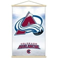 thumbnail image 1 of NHL Colorado Avalanche - Logo 17 Wall Poster, 22.375" x 34" Framed, 1 of 4