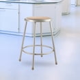 thumbnail image 4 of NPS 6200 Series 24" Modern Metal and Wood Heavy Duty Stool in Gray, 4 of 9