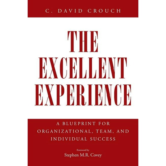 The Excellent Experience: A Blueprint for Organizational, Team, and Individual Success