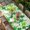 Green LawnGreen, variant on St. Patrick's Day Table Cloths for 5 Foot Rectangle Tables, Lucky Shamrocks Spring Leaves Plants Patio Waterproof Elastic Fitted Tablecloths, Washable Rectangular Table Cover for Camping