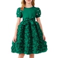 thumbnail image 3 of Blekii Petite Fit Long Sleeve Crewneck Tulle Midi Dress Casual Spring Summer Birthday Party Olive Green 4Y, 3 of 9