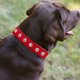 thumbnail image 4 of Collar para perros ancho y grueso con remaches de cuero. Adecuado para cuellos de 14" a 17", variedad media., 4 of 5