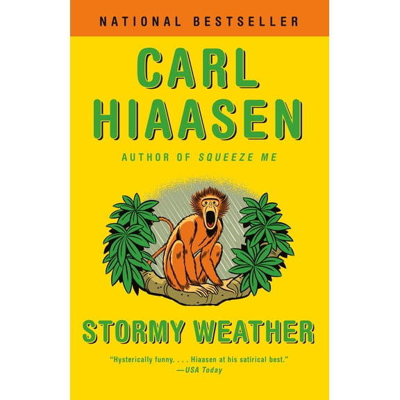 Pre-Owned Stormy Weather (Paperback) 0525431780 9780525431787