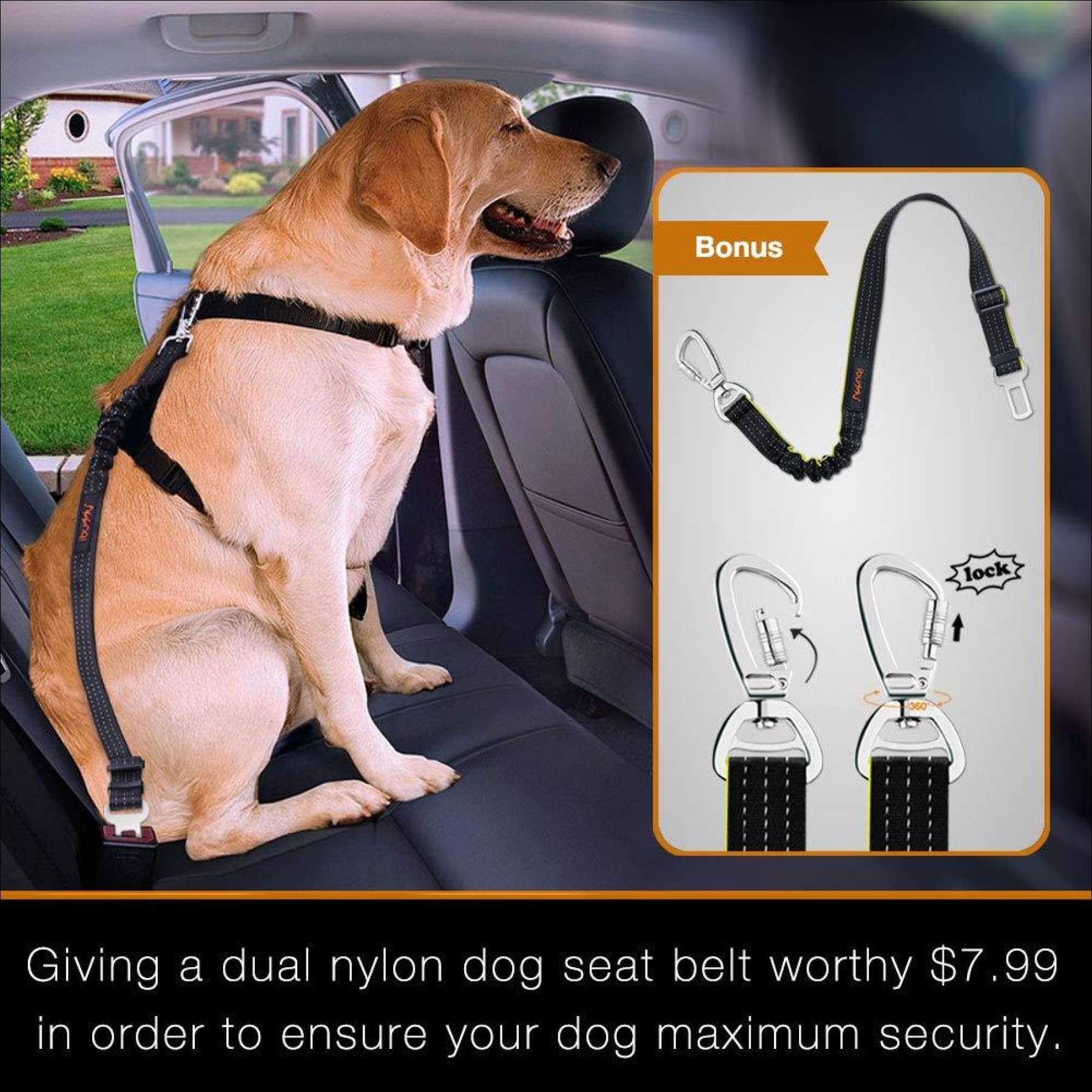 iBuddy Dog Seat Cover with Mesh Window 100% Waterproof Car Seat Covers –  Best Market 