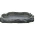 thumbnail image 3 of Zoo Med Repti Rock Food Dish, Medium, Assorted Colors, 3 of 3