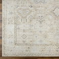 thumbnail image 6 of Livabliss x Becki Owens Marlene Vintage Medallion Area Rug,9'11" x 14',Cream, 6 of 8