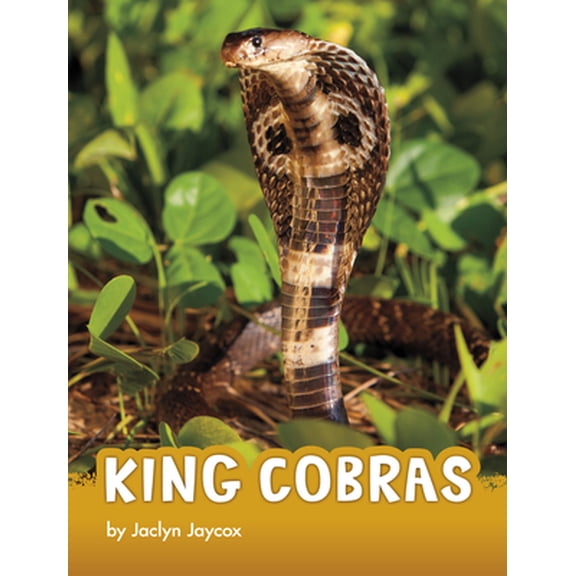 Pre-Owned King Cobras (Paperback) 1666342807 9781666342802