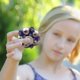 thumbnail image 3 of Antiestrés Fidget Spinner Giroscopio Soporte de bola de metal Gyro (Azul oscuro) Tmvgtek juguetes de los niños, 3 of 8