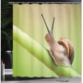 thumbnail image 3 of Ambesonne Snail Shower Curtain, Garden Animal on Stem Plant, 69"Wx70"L, Lime Green Pale Caramel, 3 of 4