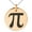 Rose, variant on Stainless Steel Pi Mathematical Engraved Small Medallion Circle Charm Pendant Necklace