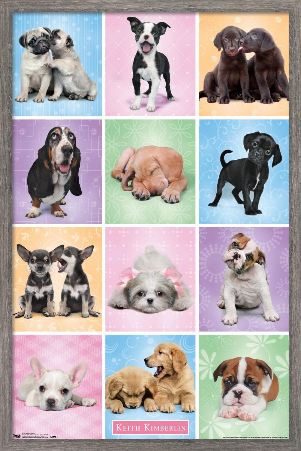 Keith Kimberlin - Puppies - Cuties Grid Wall Poster, 22.375" x 34"