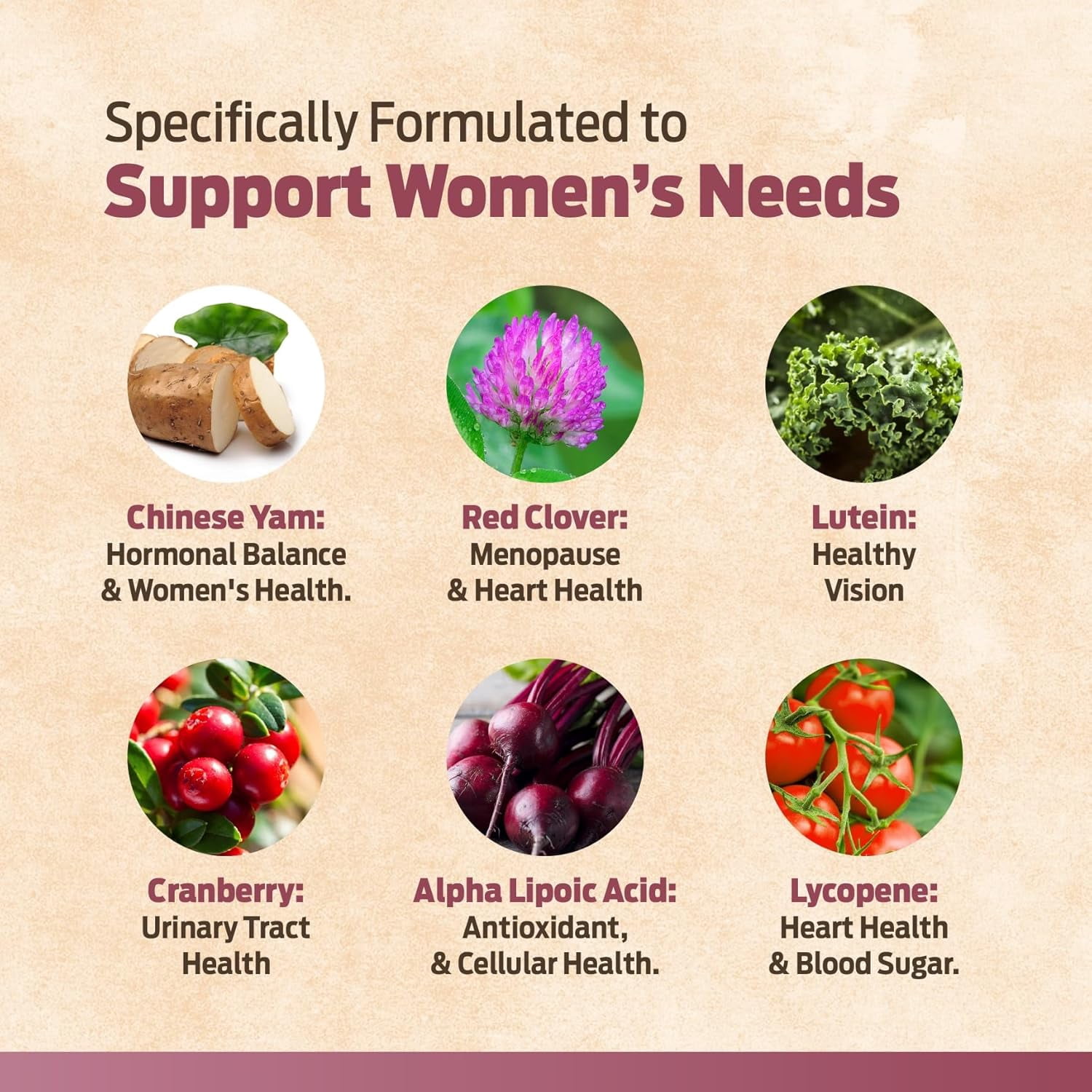 Forest Leaf Multivitamin for Women, Daily Multi-Vitamin for Women - All Essential Vitamins | 60 Veg Caps