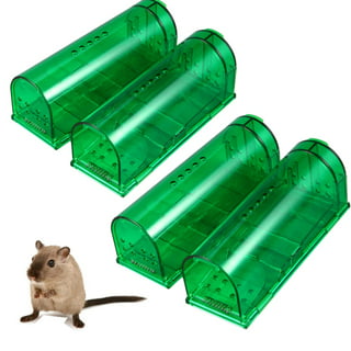 kydely Humane Mouse Traps 2 Pcs Live Catch and Release Mousetrap NEW(Green)  