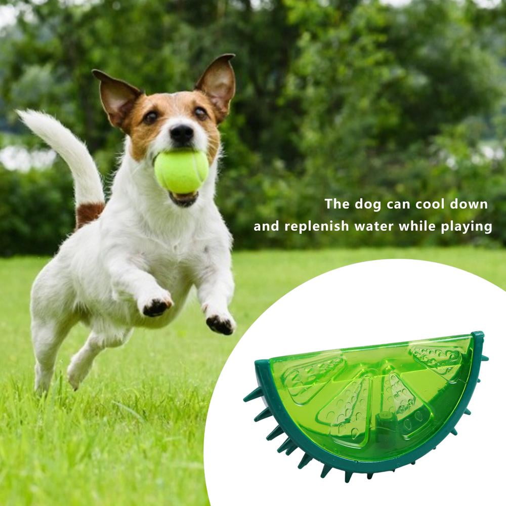 Dog Toys Summer, Frozen Dogs Toy, Cooling Dog Toy